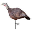 Primos Photoform Hen Turkey Decoy Image