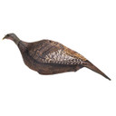 Photoform Hen Turkey Decoy