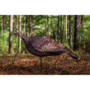 Photoform Hen Turkey Decoy