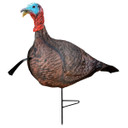 Primos Photoform Jake Turkey Decoy Image