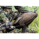Flextone Thunder Chick Breeder Turkey Decoy Field Stake Placement Image