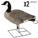 GHG Decoy Systems XD Series Full-Body Honker X2 Image