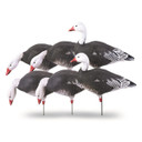 Pro-Grade Full Body Blue Goose Harvester Pack - 6 Pack