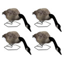 Image of the DOA Decoys Dominator Series Full Body Feeder Goose Decoys