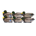 Pro-Grade XD Series Floating Mallard Duck Decoys with Flocked Heads - All Drake Pack