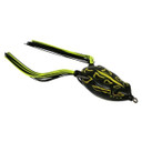Bronzeye Frog 60