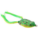 Bronzeye Frog 60