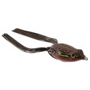 Bronzeye Frog 60