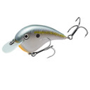 Chartreuse Blue-Black Splatterback