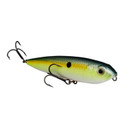 Strike King KVD Sexy Dawg Jr. Topwater Bait Image in Chartreuse Sexy Shad