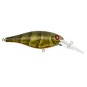 Bad Shad Crankbait