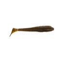 Tennessee Shad