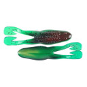 image of Zoom Horny Toad in tree frog.