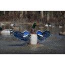 XS Splashing Flasher Mallard Drake Decoy