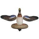 Higdon XS Floater Flasher Mallard Drake Decoy Product Image