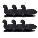 Six Pack Image of the Avian-X Topflight Floating Coot Duck Decoys.