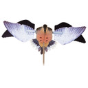 Powerflight Spinning Wing Dove