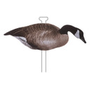 Higdon FLATS Canada Goose Standard Decoys Semi-Feeder Image