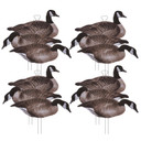 Higdon FLATS Canada Goose Standard Decoys 12 Pack Image