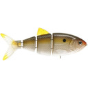 SPRO 4" Shad Swimbait Image in Natural Shad