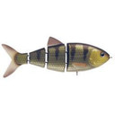 SPRO 4" Shad Swimbait Image in Wicked Perch Floating