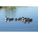 GHG Pro-Grade Pintails Decoys - 6 Pack Field Image