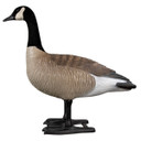 B2 Series Upright Goose Decoys - 4 Pack