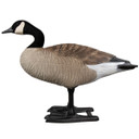 B2 Series Upright Goose Decoys - 4 Pack