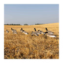 GHG 3D Flocked Head Pro Grade Canada Goose Windsock Harvester Pack side image