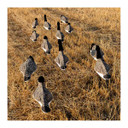 GHG 3D Flocked Head Pro Grade Canada Goose Windsock Harvester Pack above image