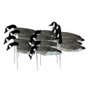 3D Flocked Head Pro Grade Canada Goose Windsock Harvester Pack
