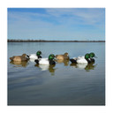 Standard Bluebill Foam-Filled Duck Decoys - 12 Pack