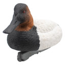 LIVE Foam Filled Canvasback, 6 Pack