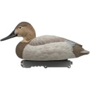 LIVE Foam Filled Canvasback, 6 Pack