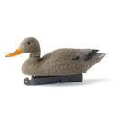 Gadwall Floaters Duck Decoys - 12 Pack