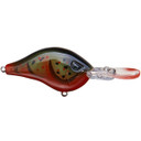 Shad Dad Crankbait 1/2 oz  Shallow Diver