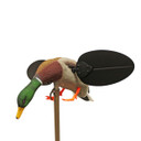 Mojo Outdoors Motorized Mallard Drake Duck Decoys. With motorized spinning wings