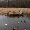 Field Image of the Beavertail 2200 Series Waterfowl Boat Blind.