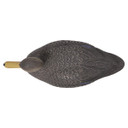 Premier Series Magnum Black Duck Decoys - 12 Pack