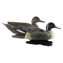 Over-Size Series Pintails Weighted Keel, 6 Pack