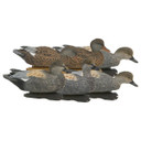 Pro-Grade Series Gadwall Duck Decoys - 6 Pack