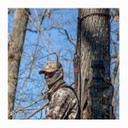 Life Link Treestand Safety System
