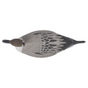 Pintail Oversize Drake Only Duck Decoys - Half Dozen