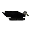 Final Approach Live Flocked Black Duck Decoy head down image