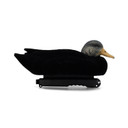 Final Approach Live Flocked Black Duck Decoy head tucked down image