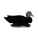 Final Approach Live Flocked Black Duck Decoy another side image