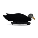 Final Approach Live Flocked Black Duck Decoy head down again image