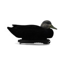 Final Approach Live Flocked Black Duck Decoy side image