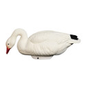HEYDAY HydroFoam Snow Goose Floater Decoy Feeder Image