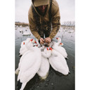 HydroFoam Snow Goose Floater Decoys